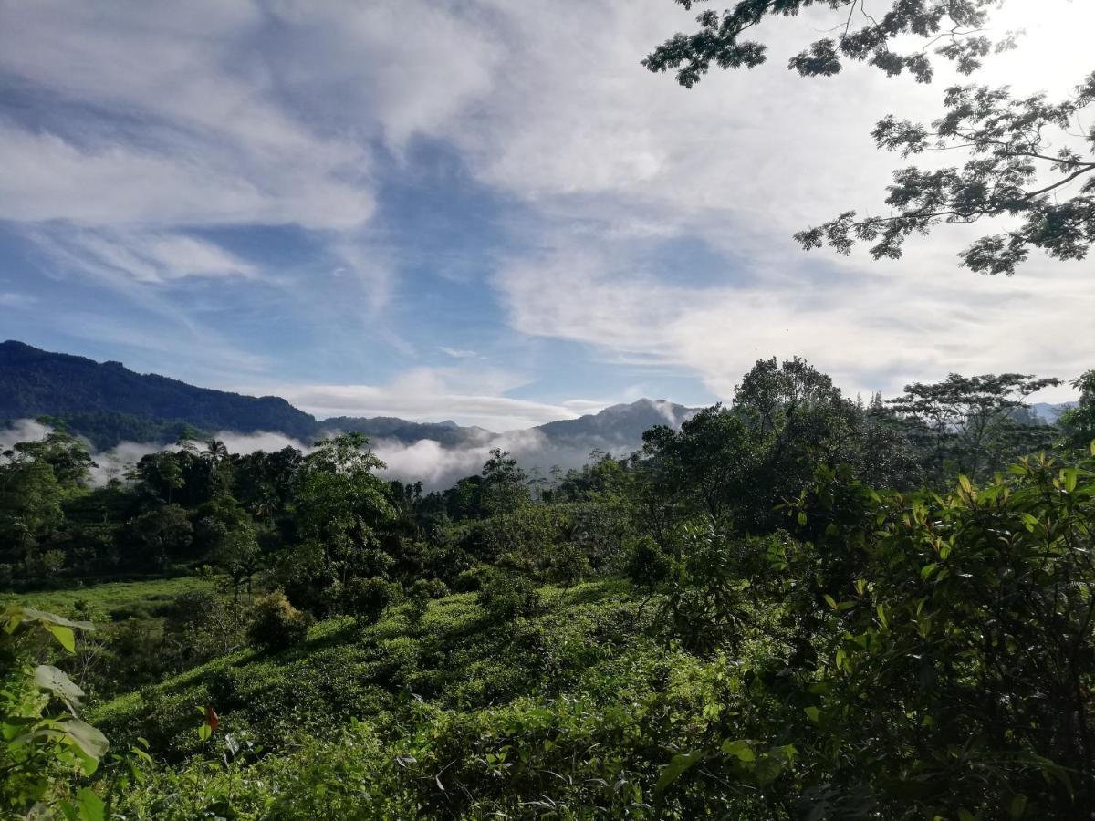 Sunil'S Homestay Sinharaja Kalawana Ngoại thất bức ảnh
